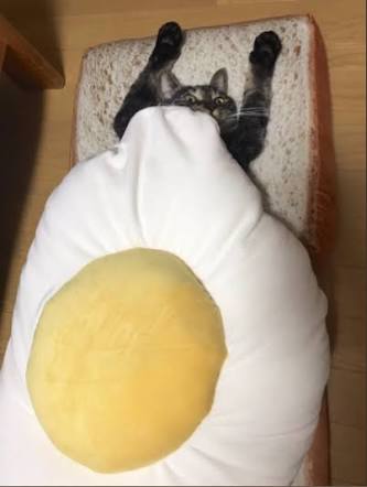 ガルちゃん猫カフェ21号店 開店しました♪ (初めての方も大歓迎！)