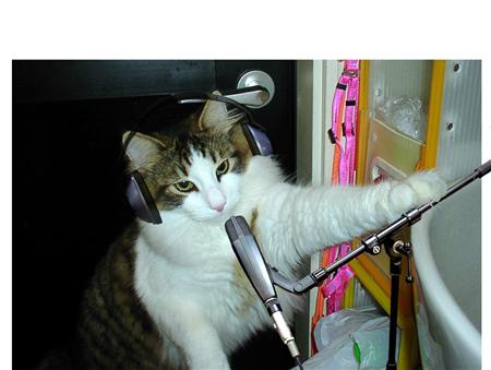 ガルちゃん猫カフェ21号店 開店しました♪ (初めての方も大歓迎!)