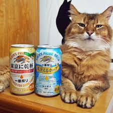 ガルちゃん猫カフェ21号店 開店しました♪ (初めての方も大歓迎!)