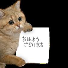 ガルちゃん猫カフェ21号店 開店しました♪ (初めての方も大歓迎!)