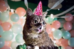 ガルちゃん猫カフェ21号店 開店しました♪ (初めての方も大歓迎！)