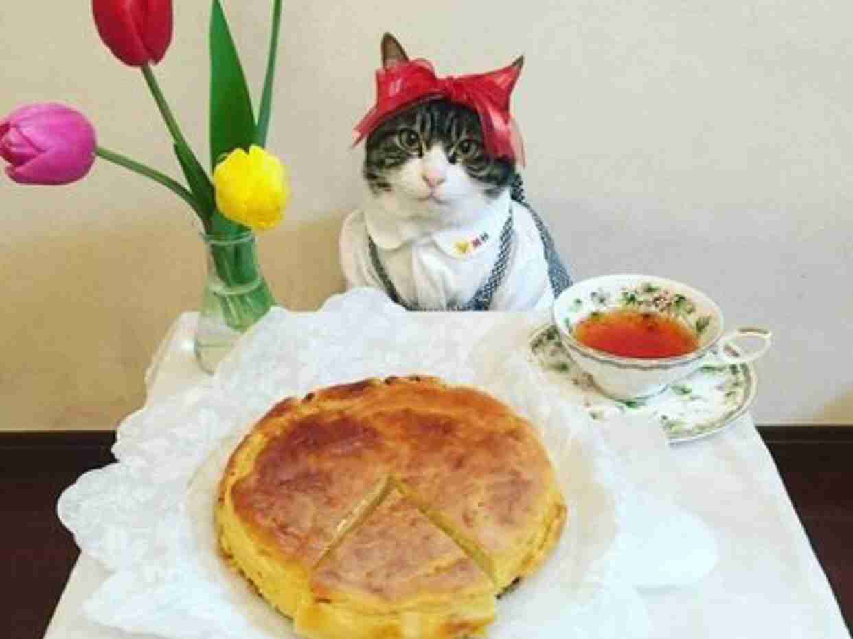 ガルちゃん猫カフェ21号店 開店しました♪ (初めての方も大歓迎!)