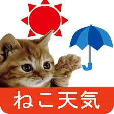ガルちゃん猫カフェ21号店 開店しました♪ (初めての方も大歓迎!)