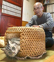 ガルちゃん猫カフェ21号店 開店しました♪ (初めての方も大歓迎！)