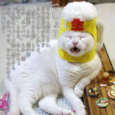 ガルちゃん猫カフェ21号店 開店しました♪ (初めての方も大歓迎！)