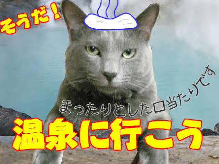 ガルちゃん猫カフェ21号店 開店しました♪ (初めての方も大歓迎！)