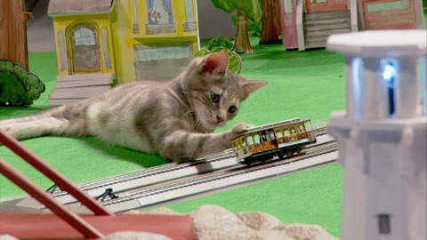 ガルちゃん猫カフェ21号店 開店しました♪ (初めての方も大歓迎!)