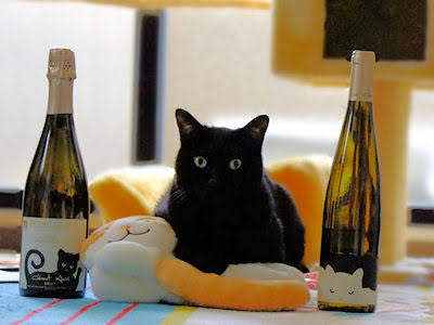 ガルちゃん猫カフェ21号店 開店しました♪ (初めての方も大歓迎！)