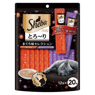 ガルちゃん猫カフェ21号店 開店しました♪ (初めての方も大歓迎!)