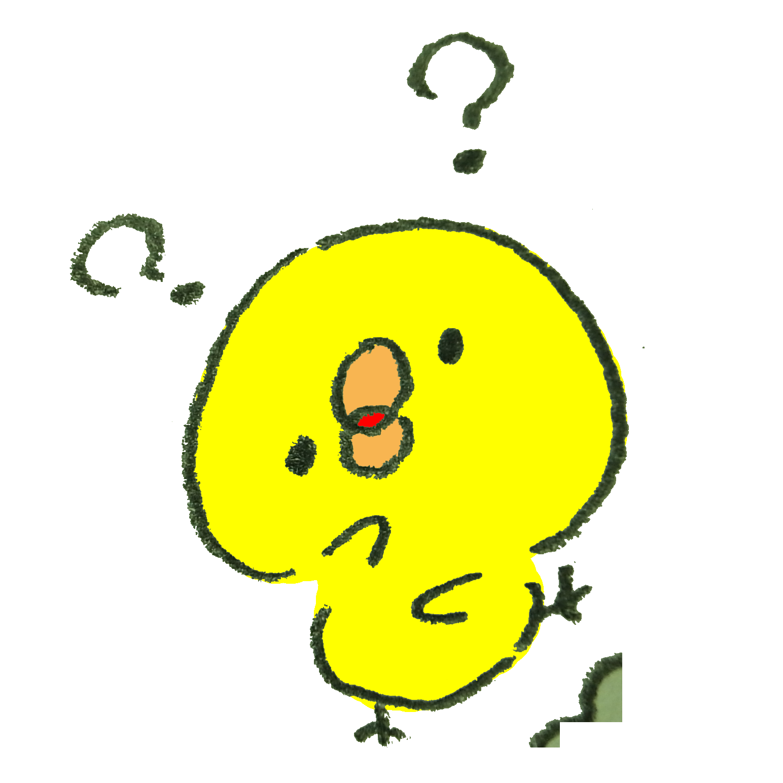 ペットの名前をおしえて