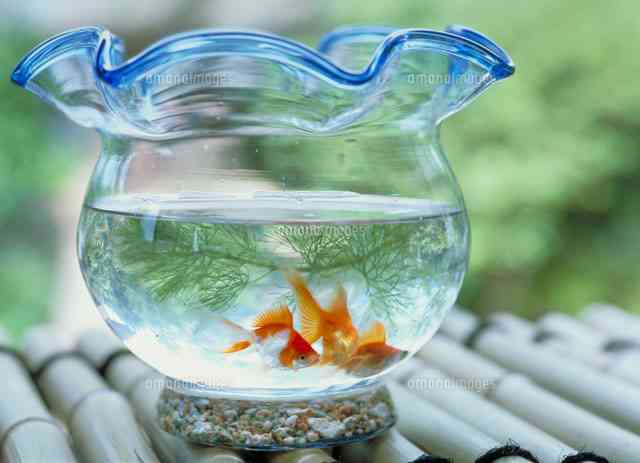 色んなガラス細工が見たい