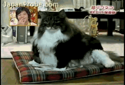 生活感溢れる写真☆part2