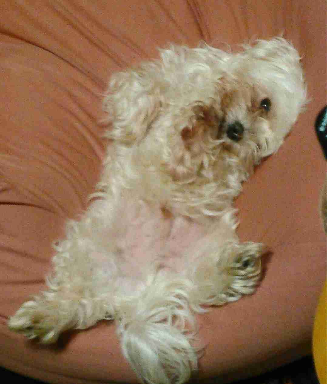 生活感溢れる写真☆part2