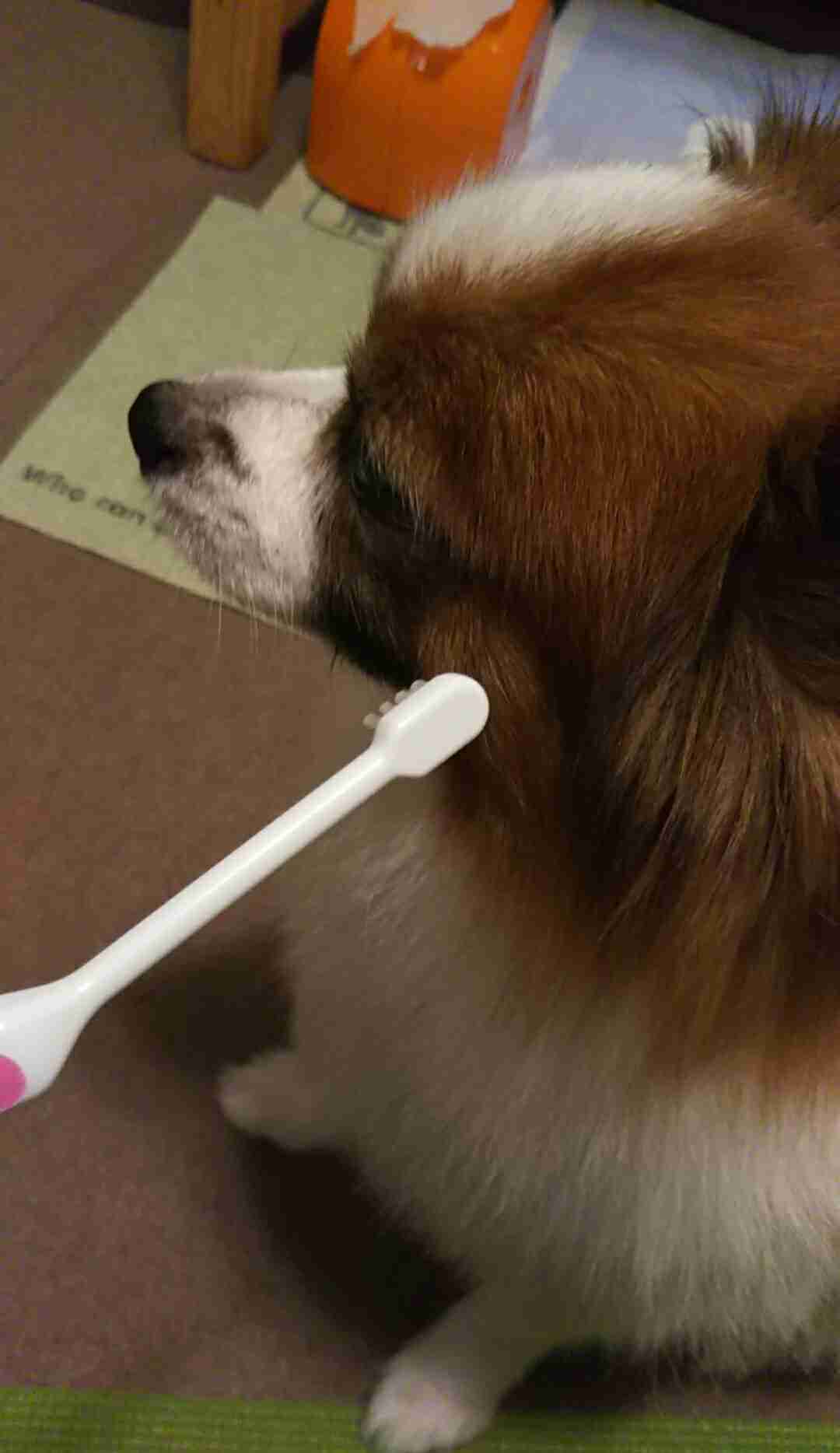 生活感溢れる写真☆part2