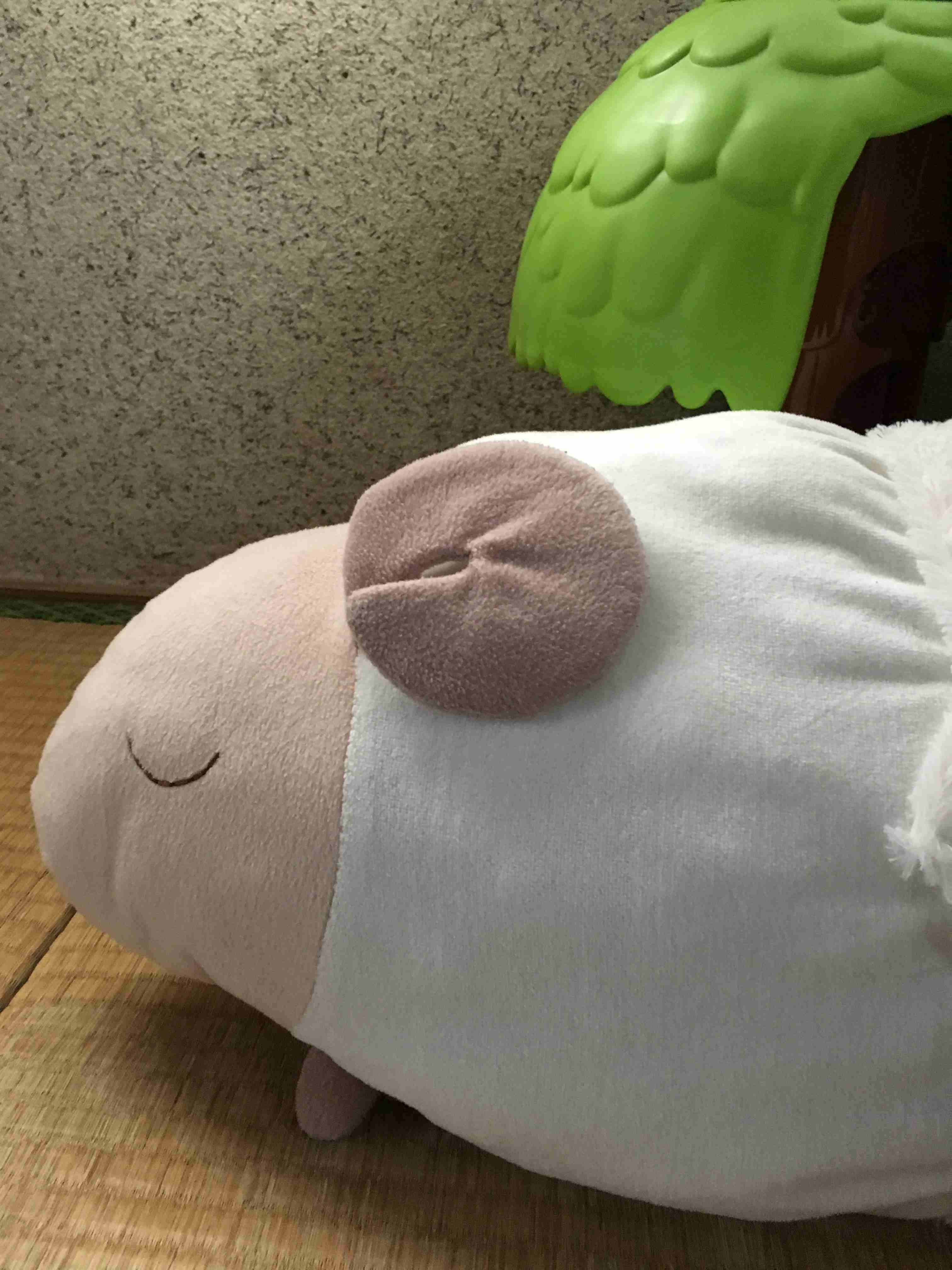 生活感溢れる写真☆part2