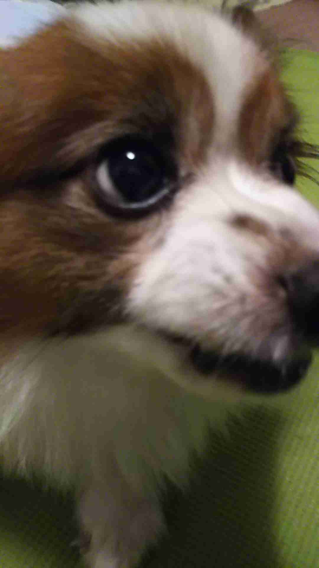 生活感溢れる写真☆part2