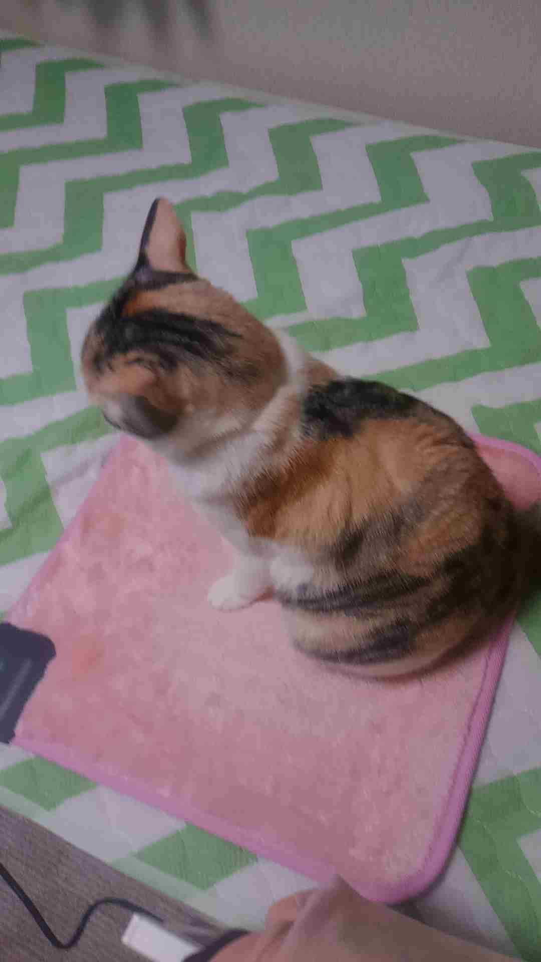 生活感溢れる写真☆part2