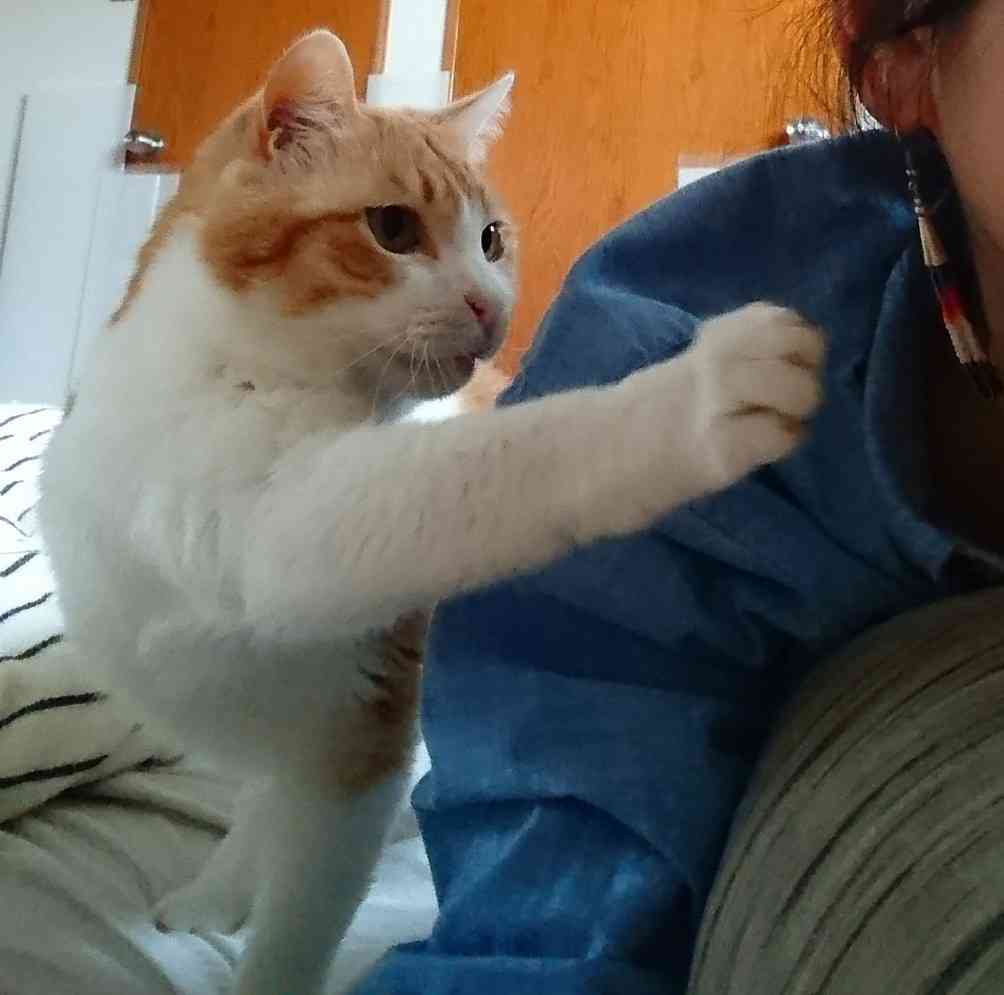 生活感溢れる写真☆part2