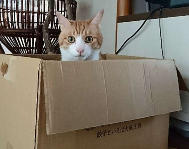 生活感溢れる写真☆part2