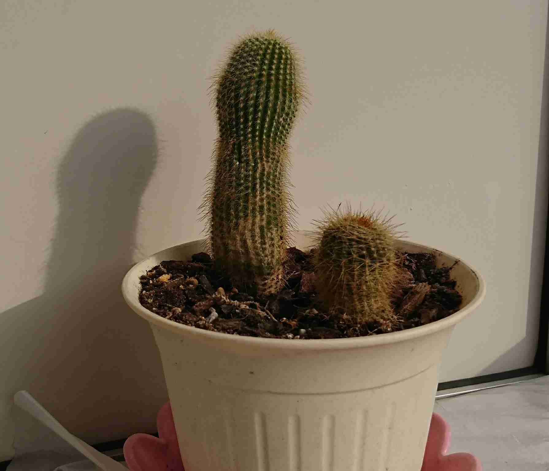 生活感溢れる写真☆part2