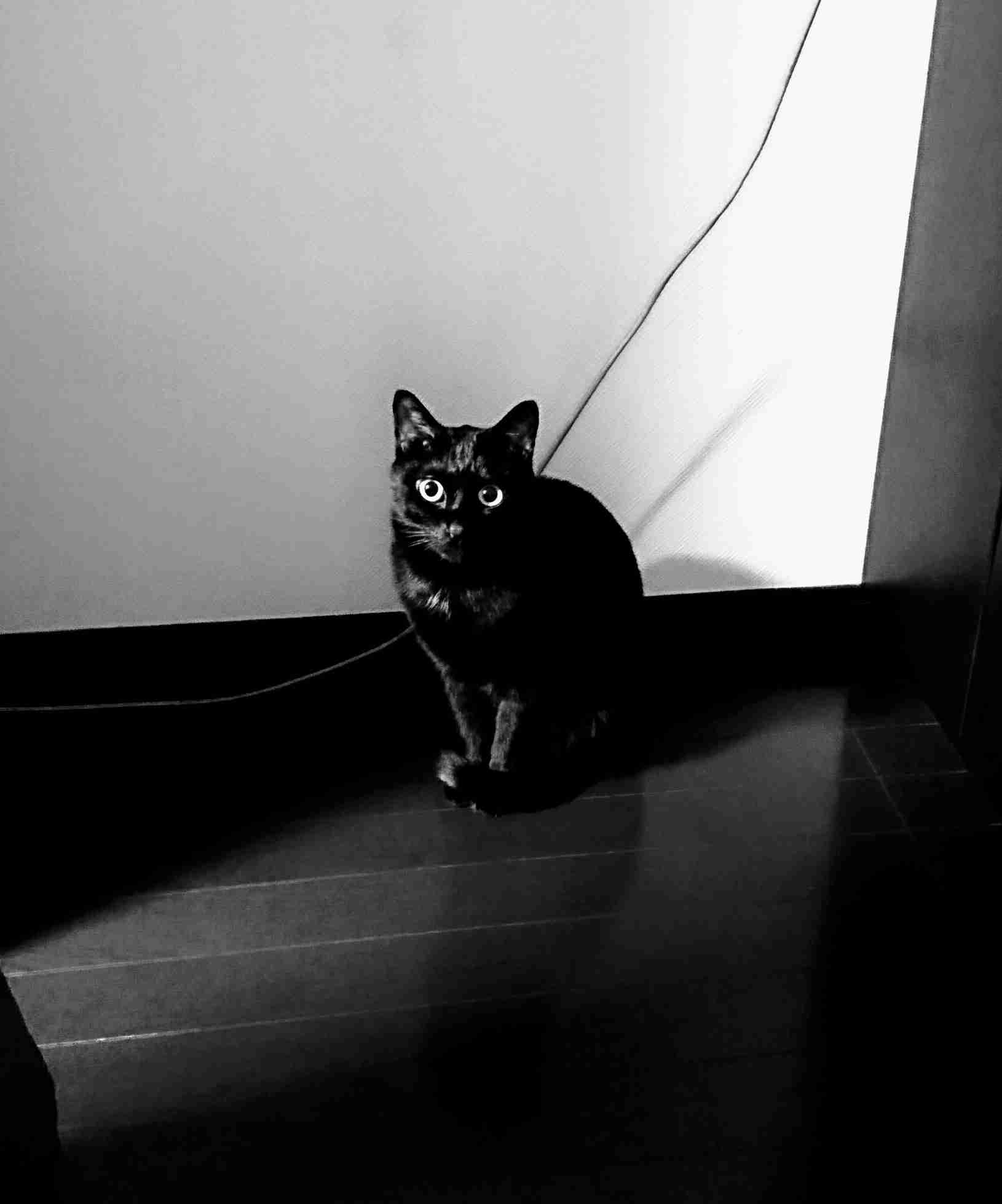 生活感溢れる写真☆part2