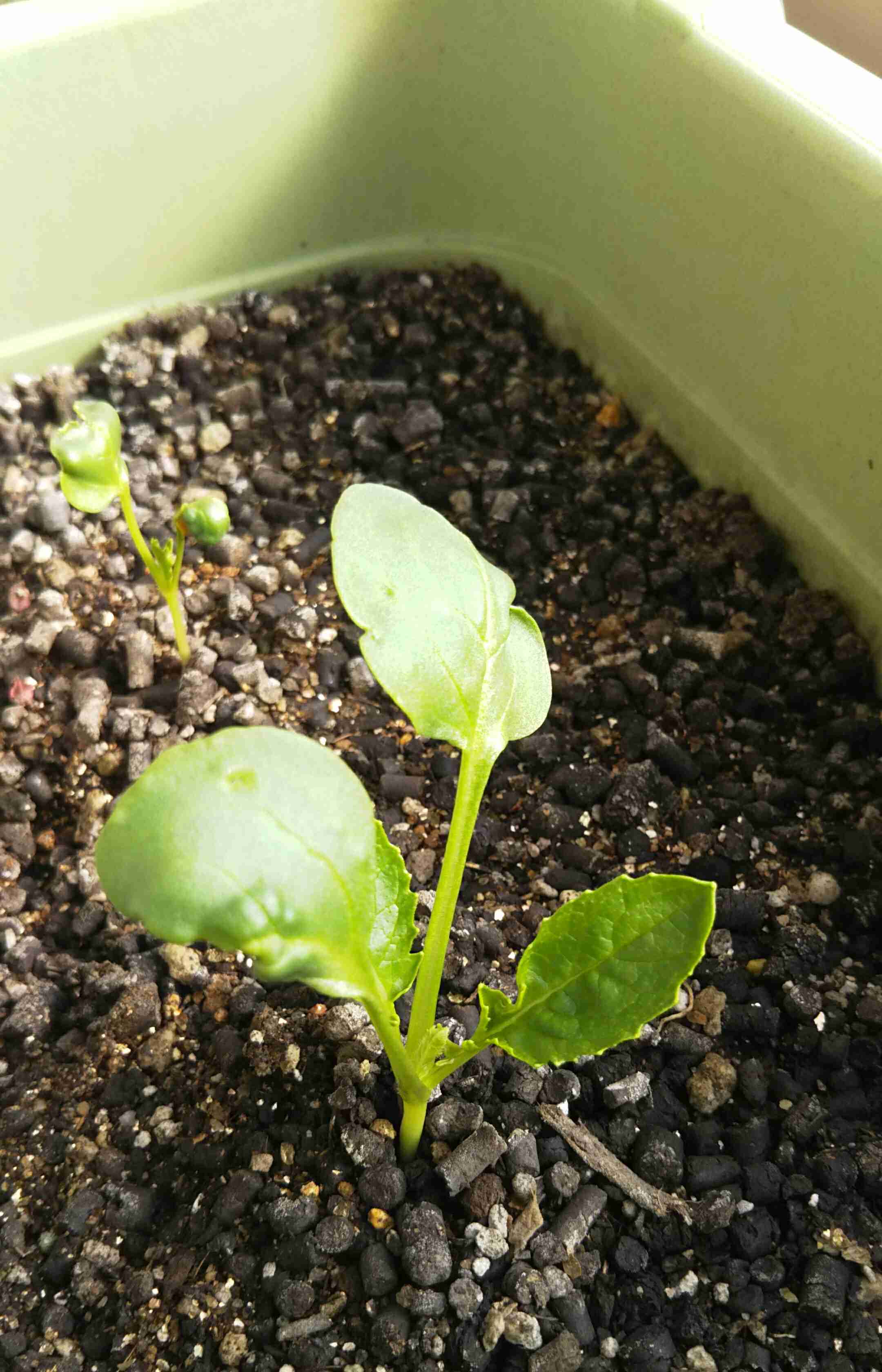 生活感溢れる写真☆part2