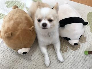 生活感溢れる写真☆part2