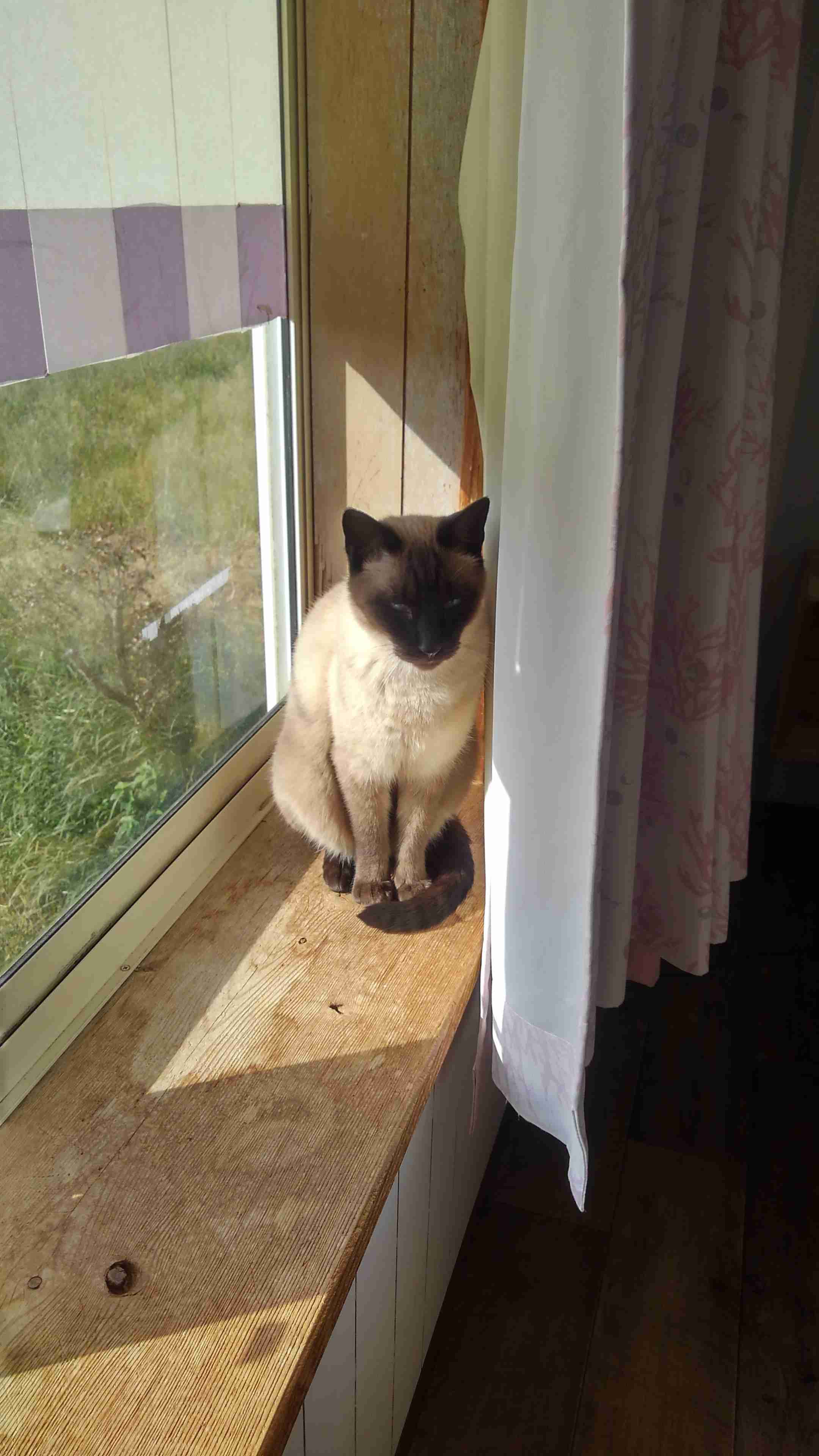 生活感溢れる写真☆part2