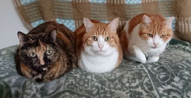 生活感溢れる写真☆part2