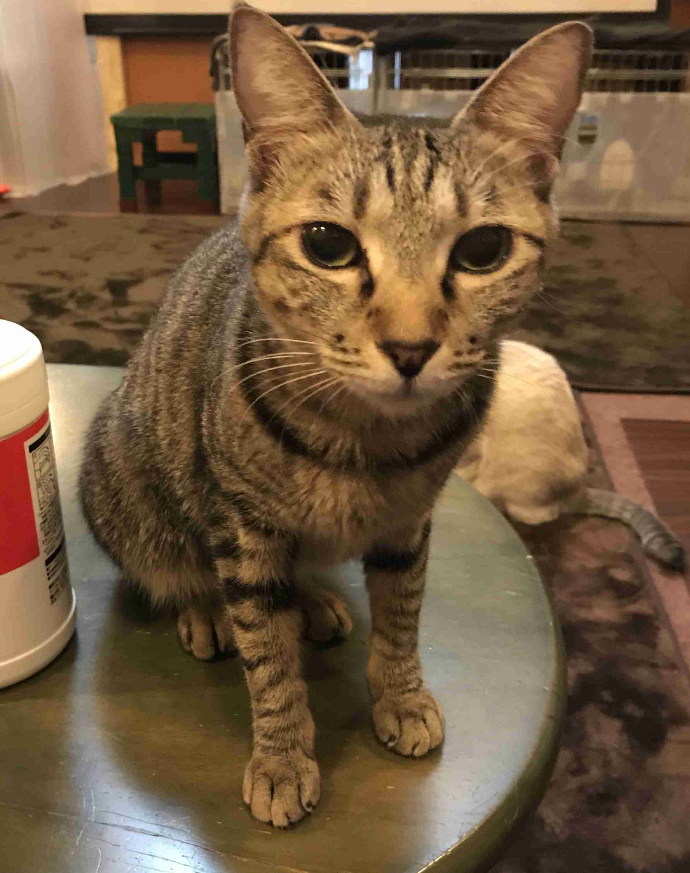 生活感溢れる写真☆part2