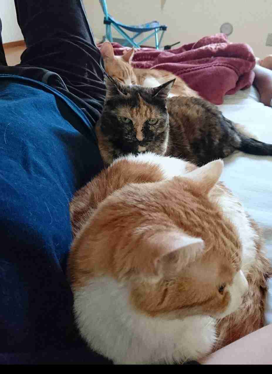 生活感溢れる写真☆part2