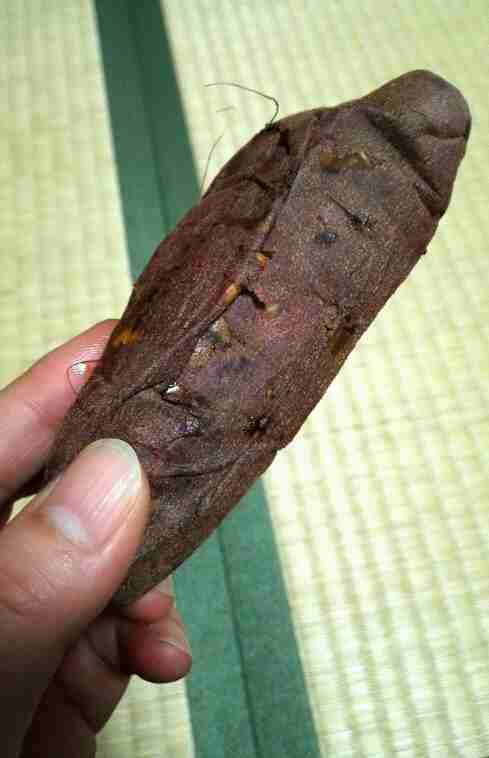 生活感溢れる写真☆part2