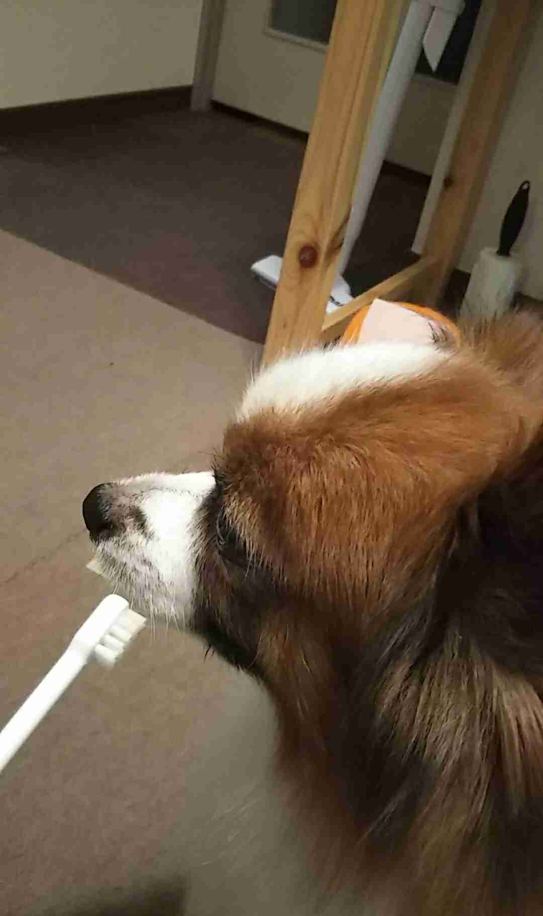 生活感溢れる写真☆part2