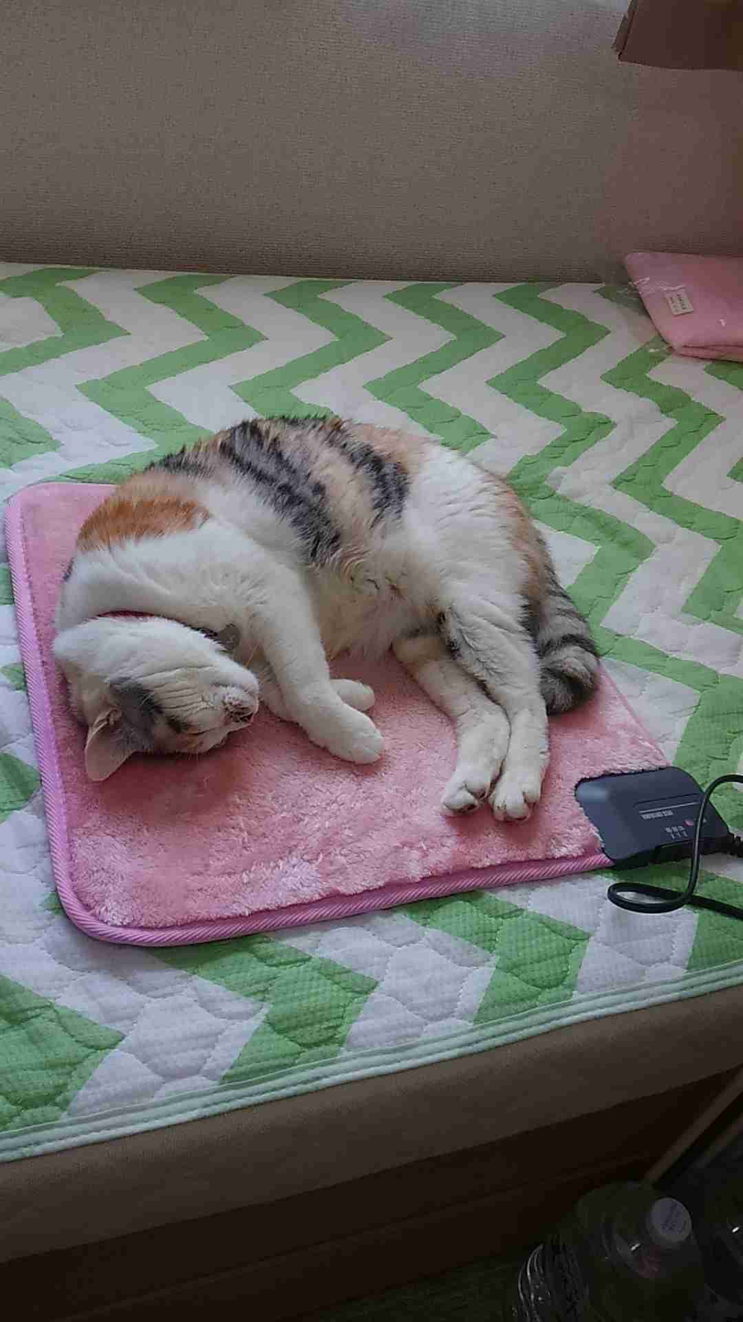 生活感溢れる写真☆part2