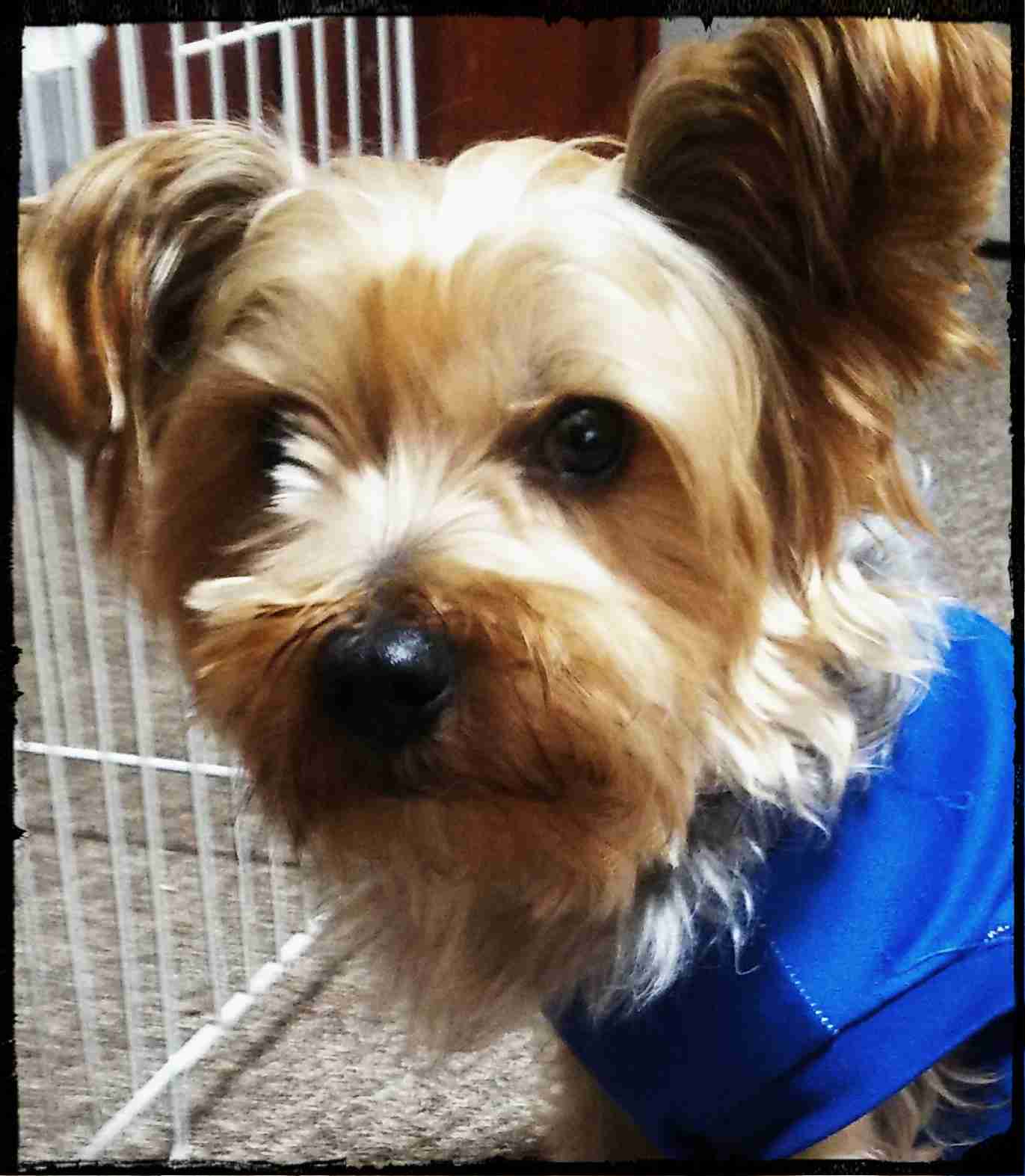 生活感溢れる写真☆part2