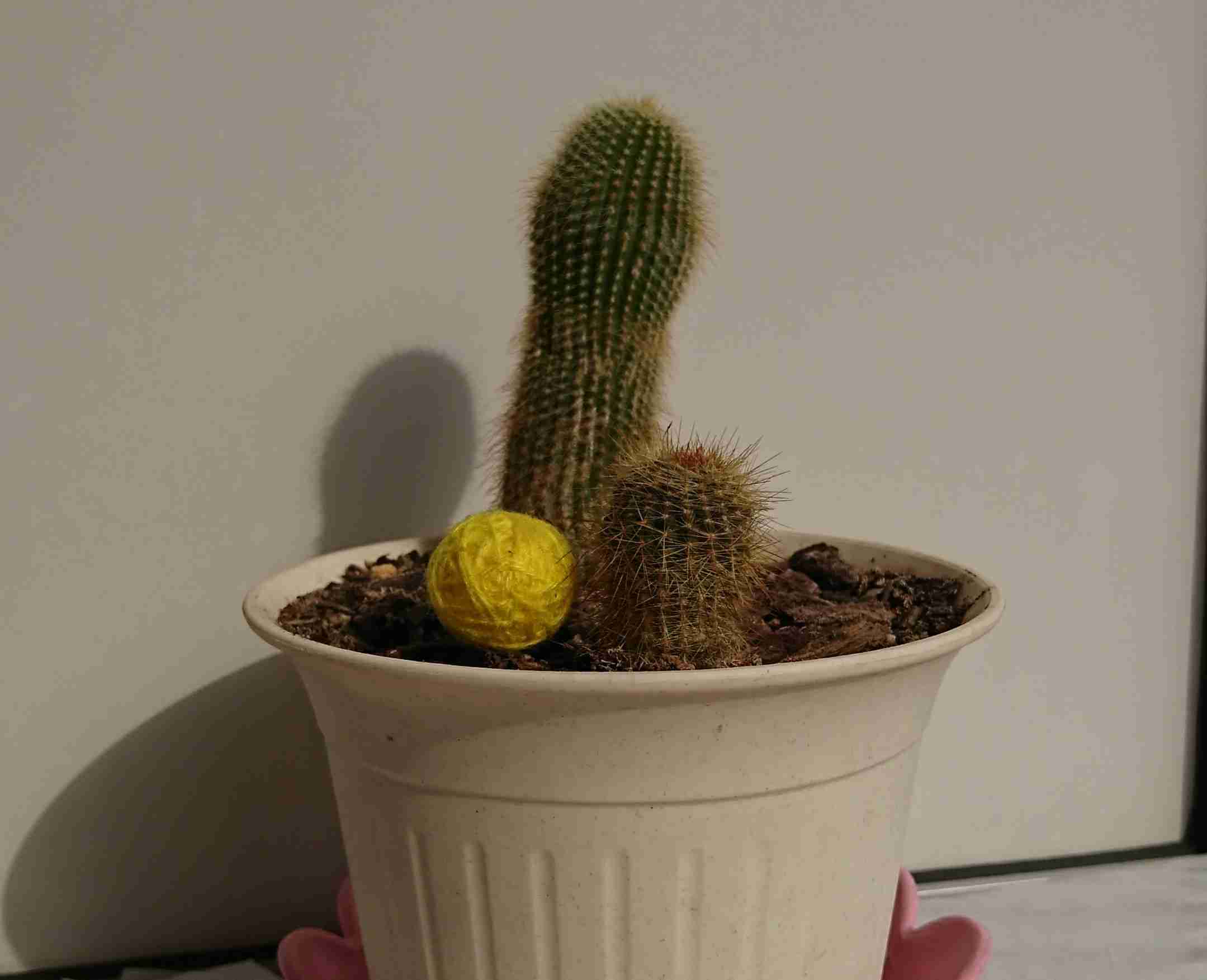 生活感溢れる写真☆part2