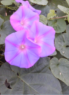 生活感溢れる写真☆part2