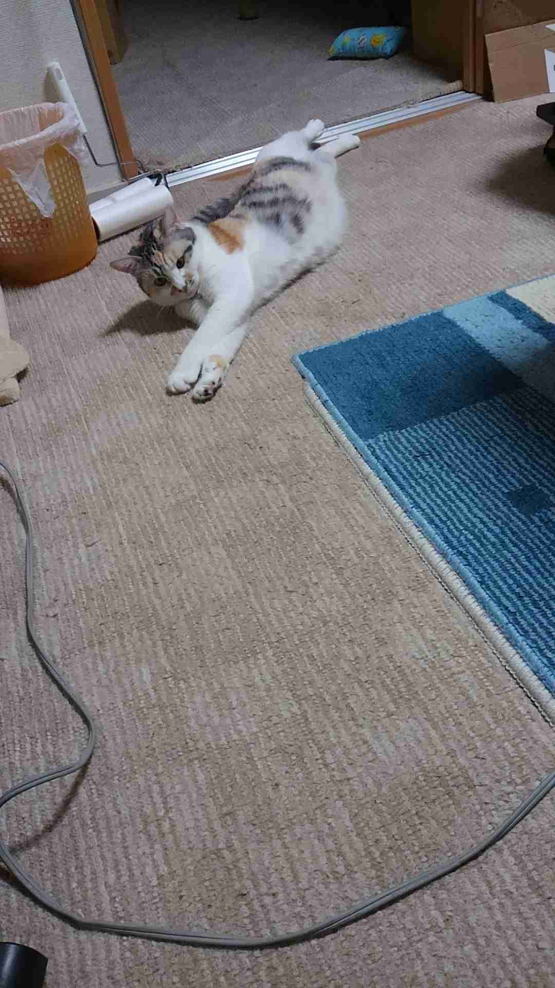 生活感溢れる写真☆part2