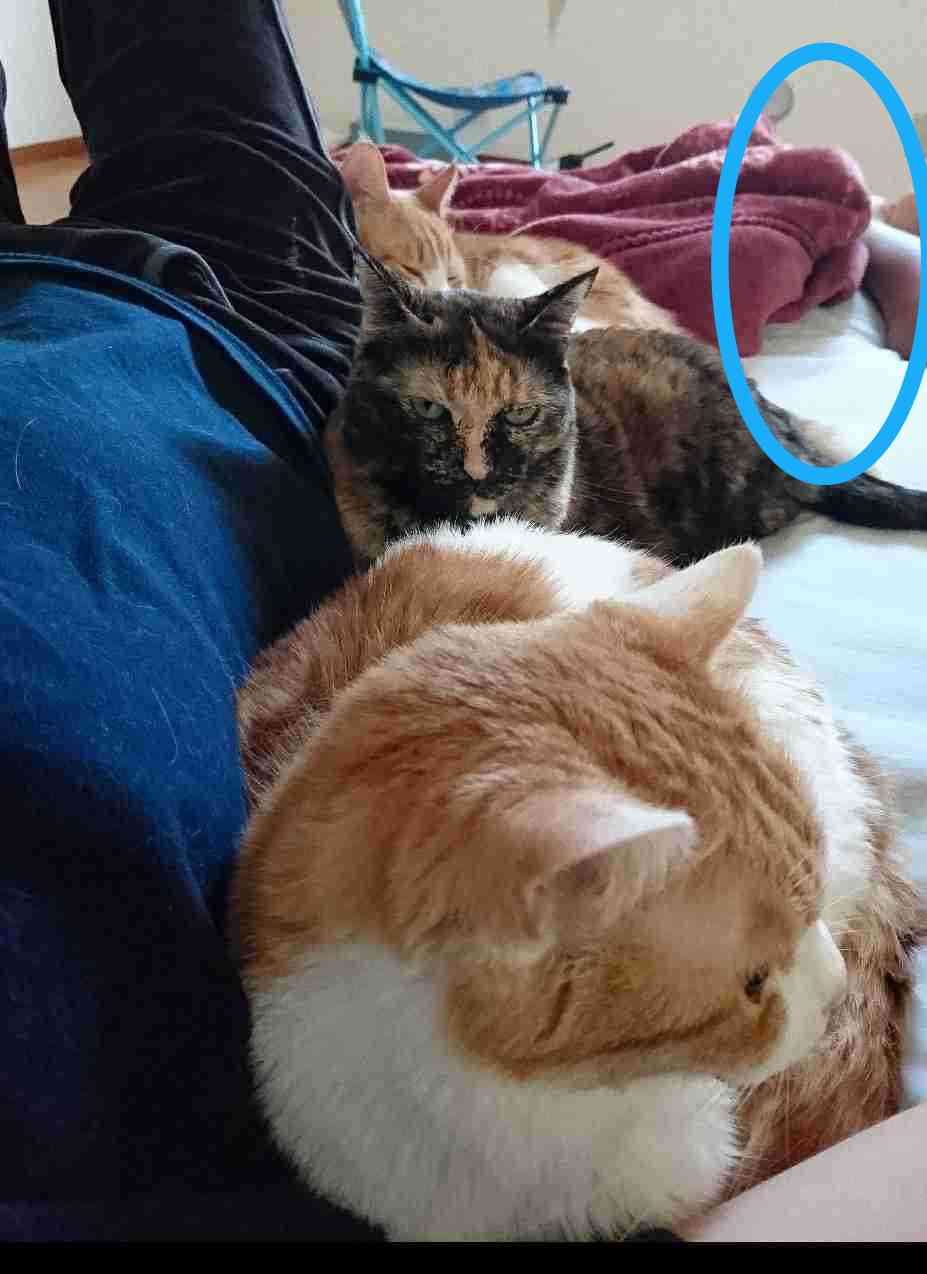 生活感溢れる写真☆part2