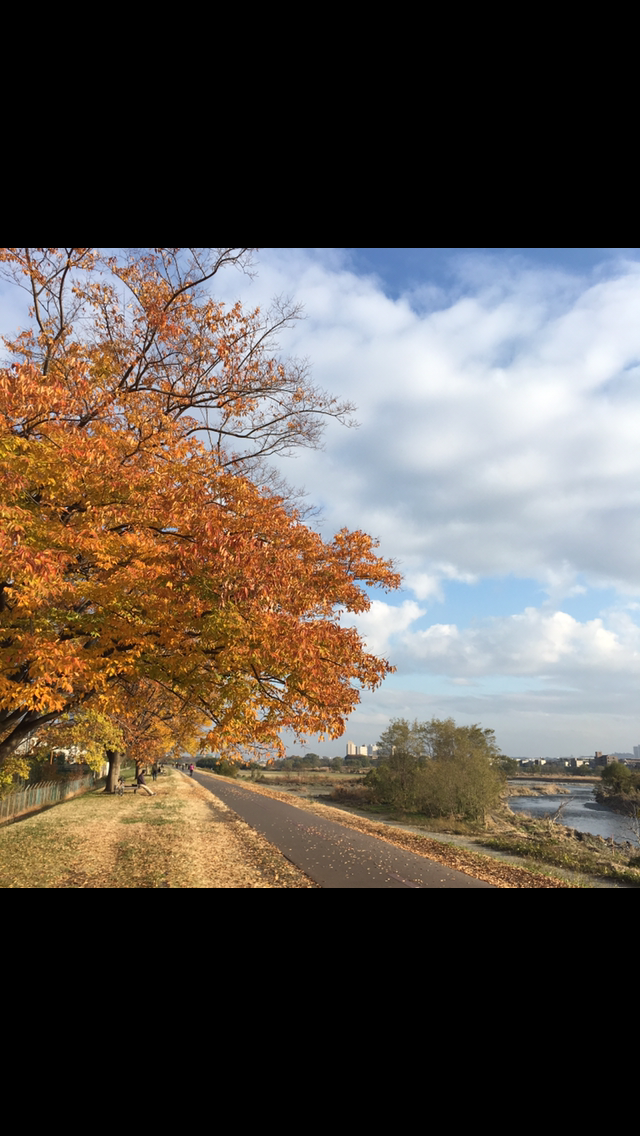 生活感溢れる写真☆part2