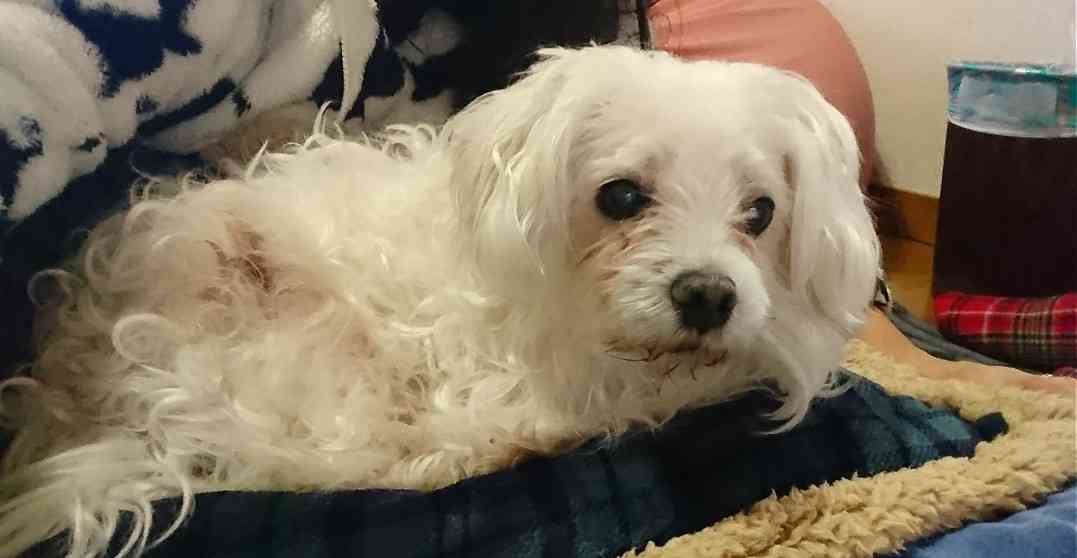 生活感溢れる写真☆part2