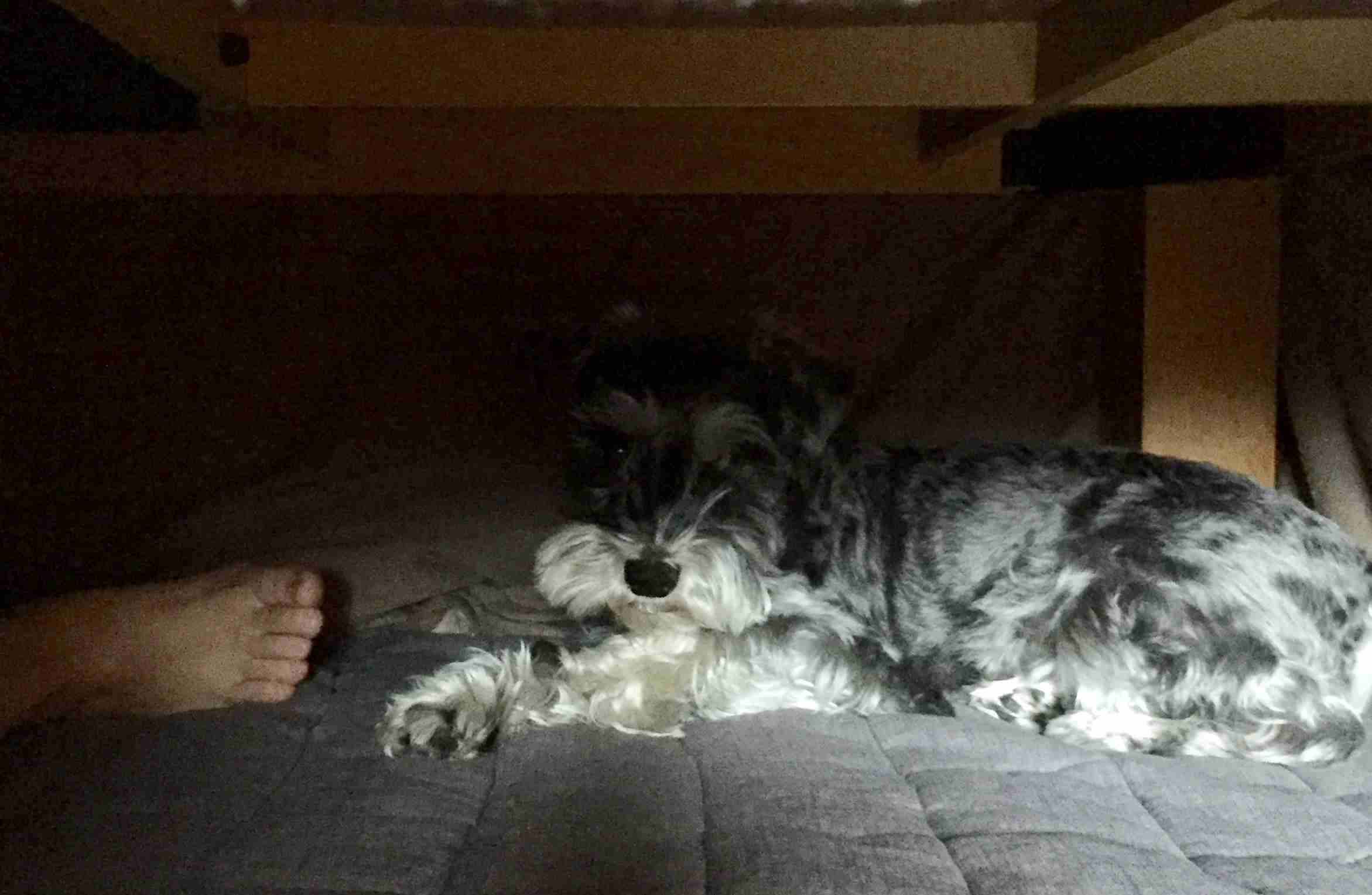 生活感溢れる写真☆part2