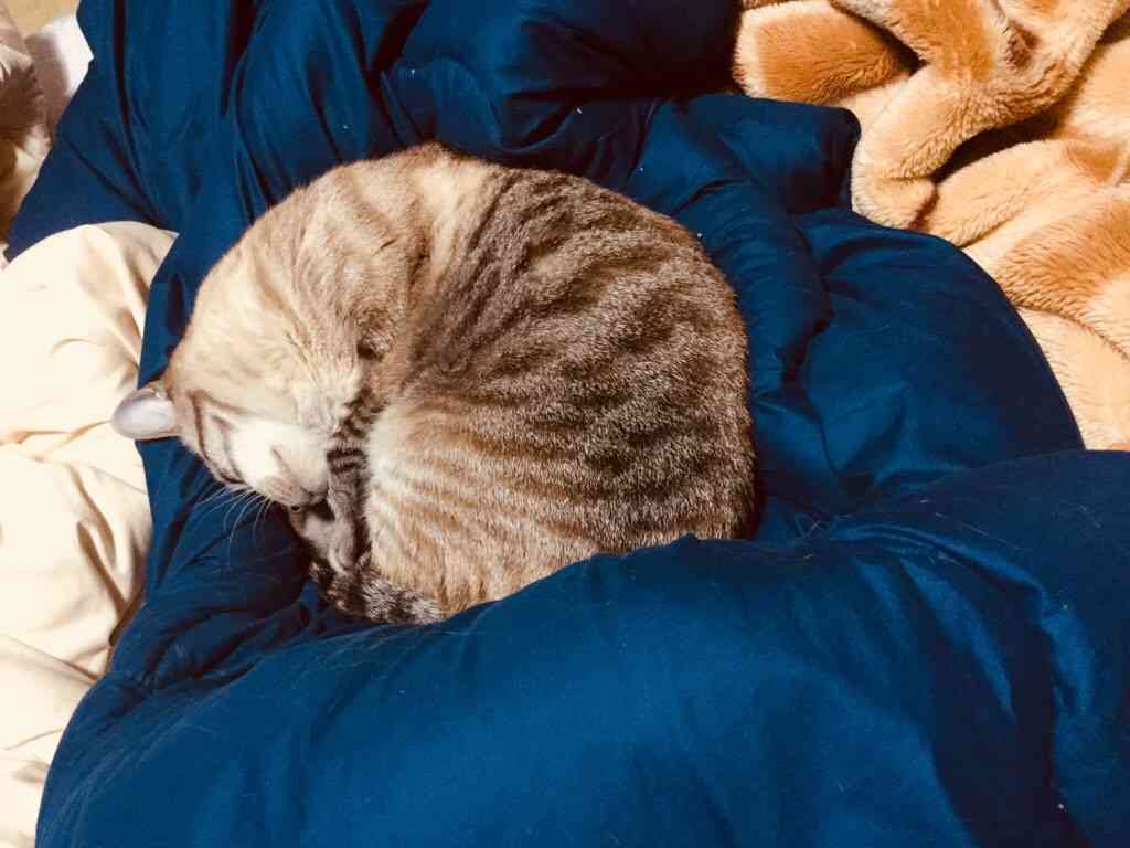 生活感溢れる写真☆part2