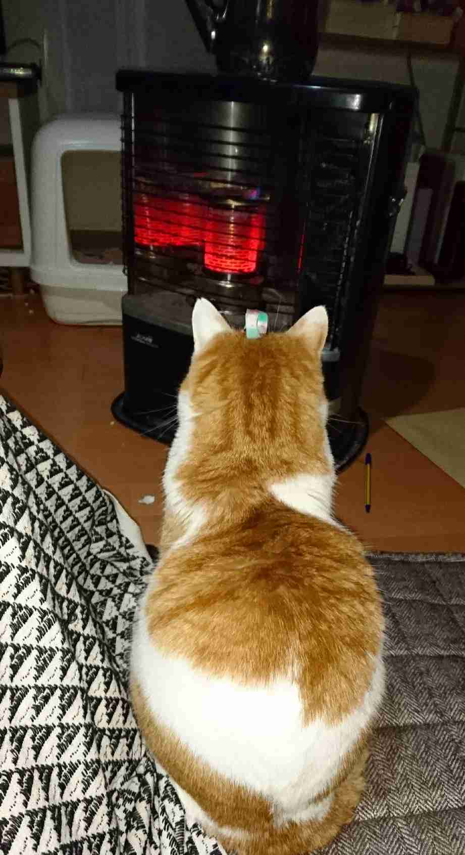 生活感溢れる写真☆part2