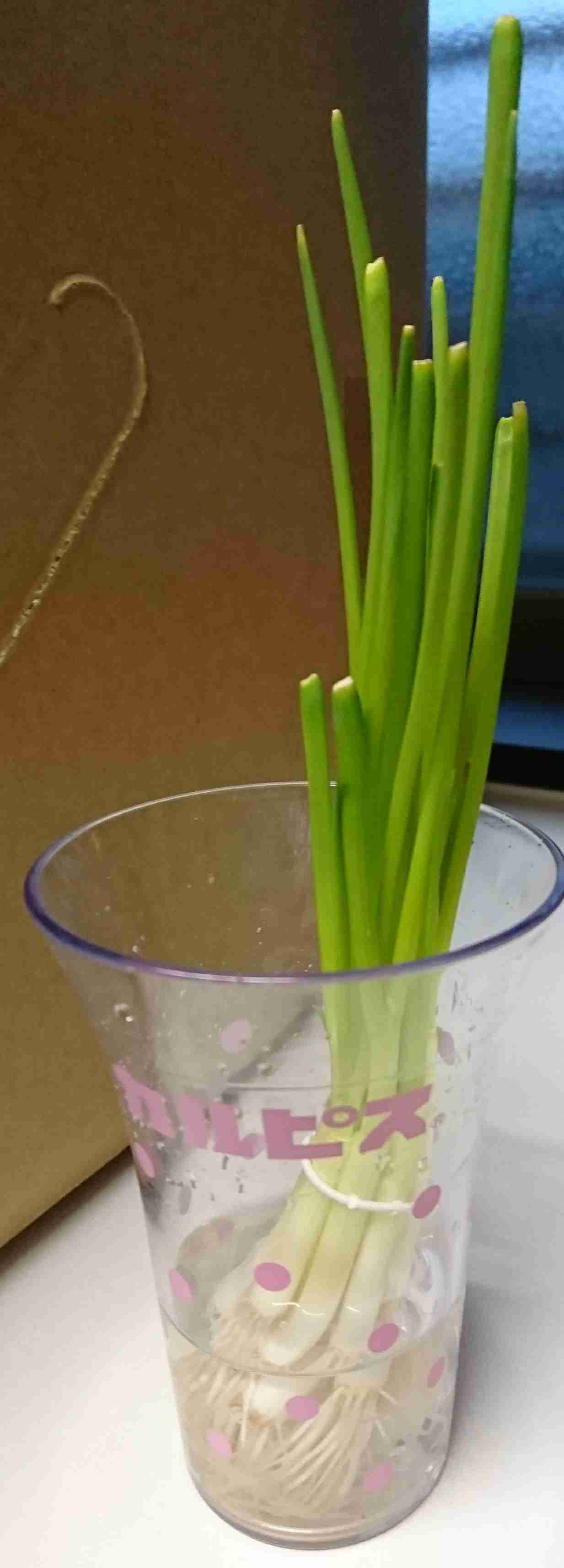 生活感溢れる写真☆part2