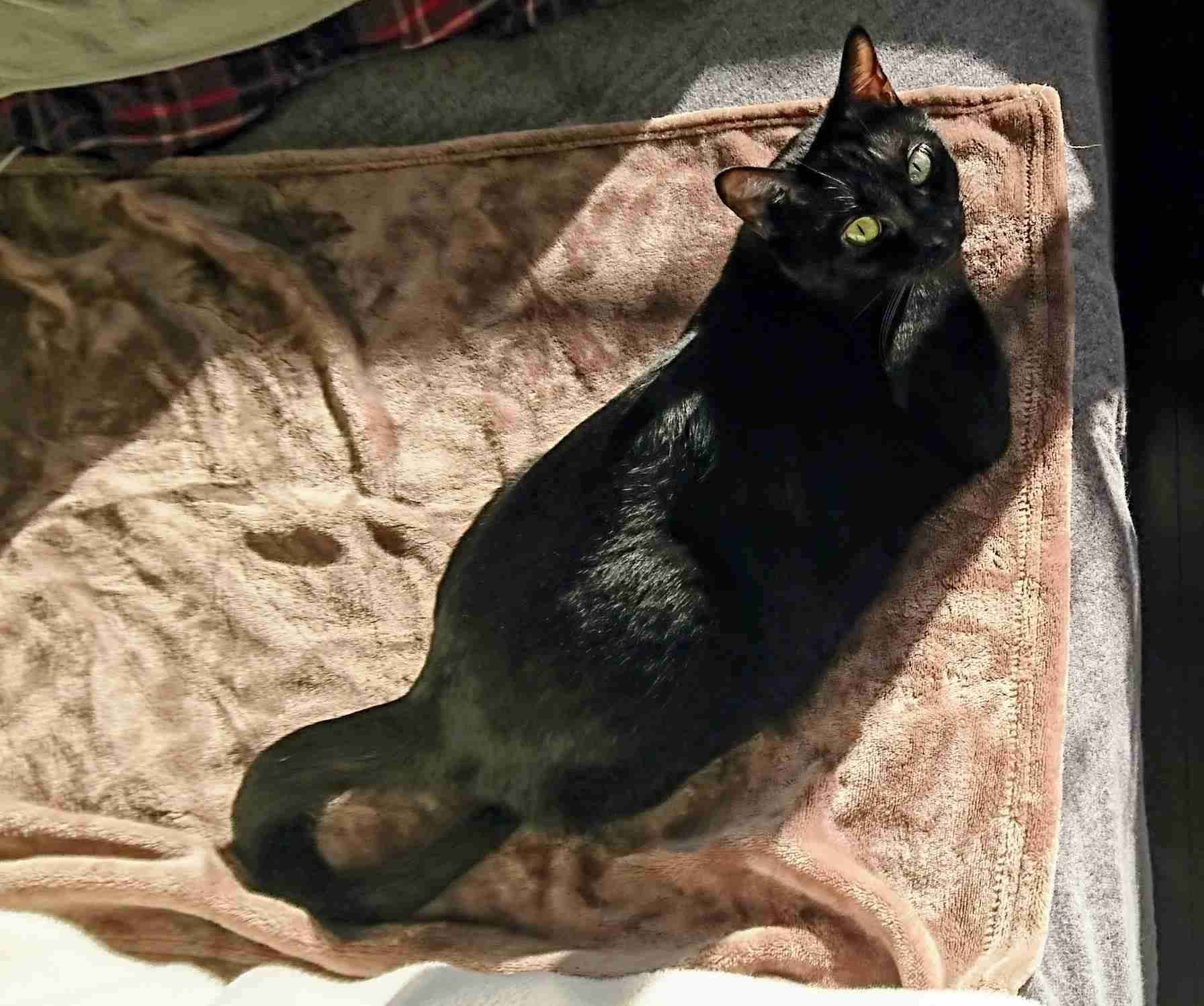 生活感溢れる写真☆part2