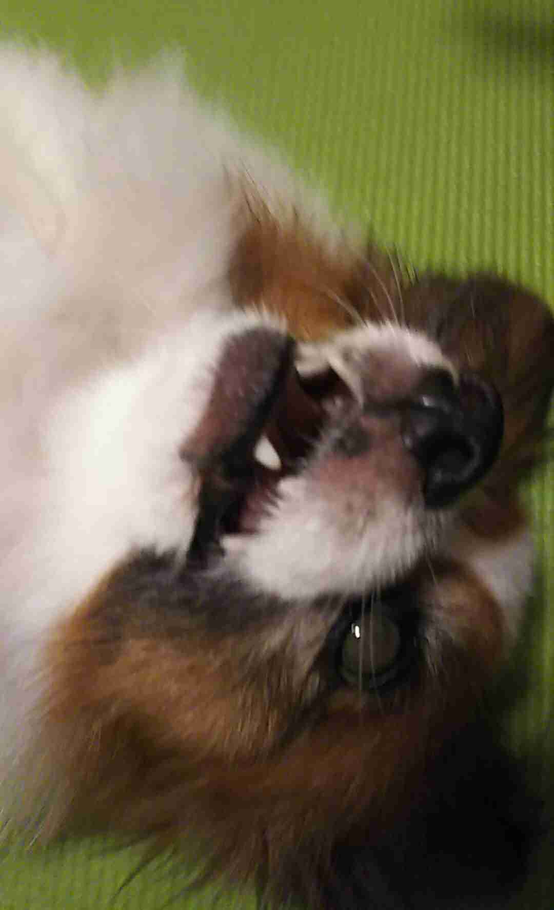 生活感溢れる写真☆part2