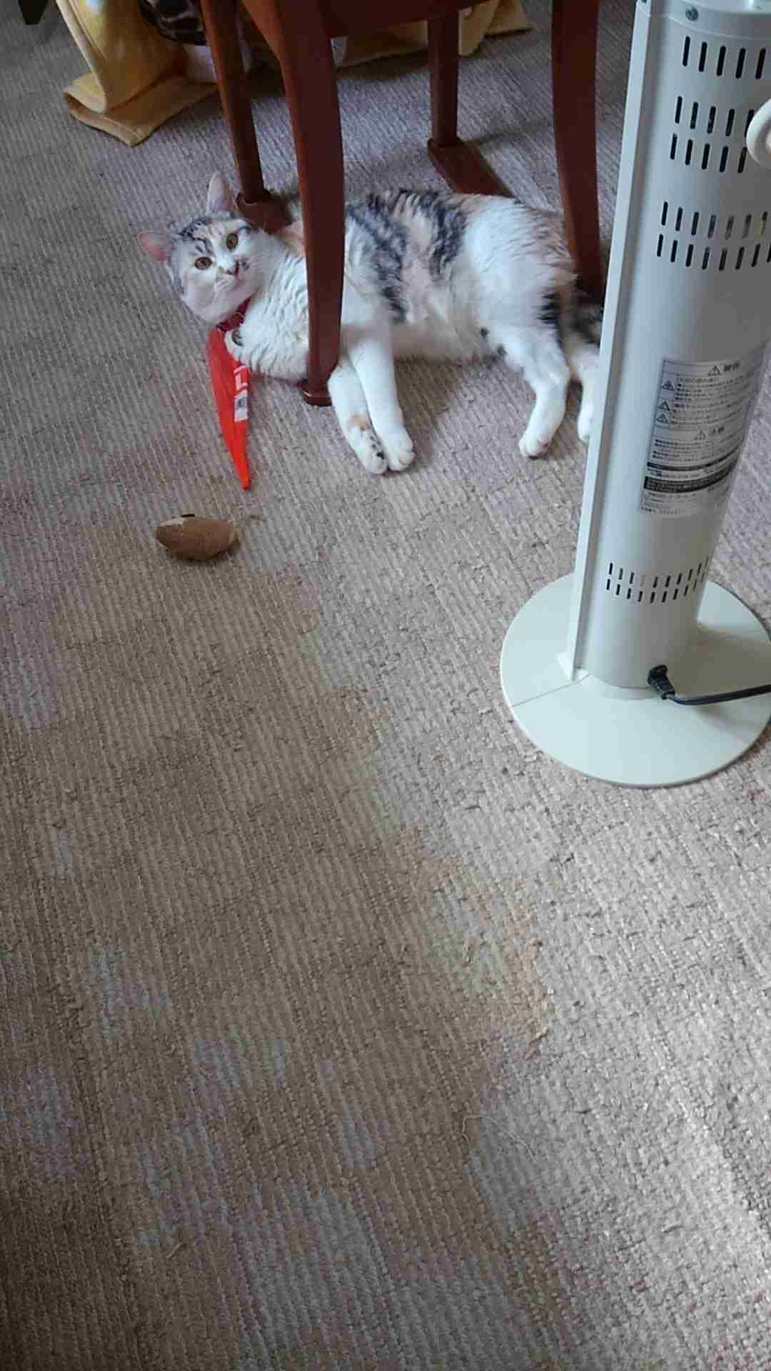 生活感溢れる写真☆part2