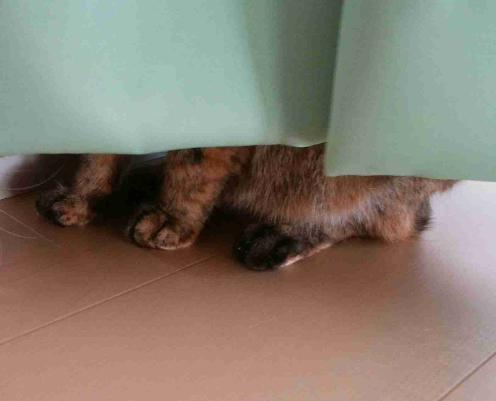 生活感溢れる写真☆part2