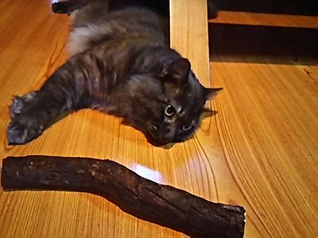 生活感溢れる写真☆part2